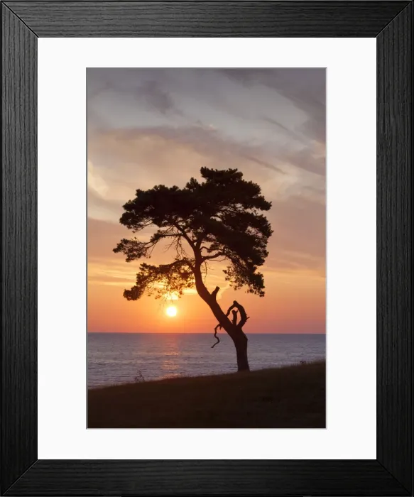 Framed Print : Picture No. 11672584 Framed Print : Picture No. 11672584