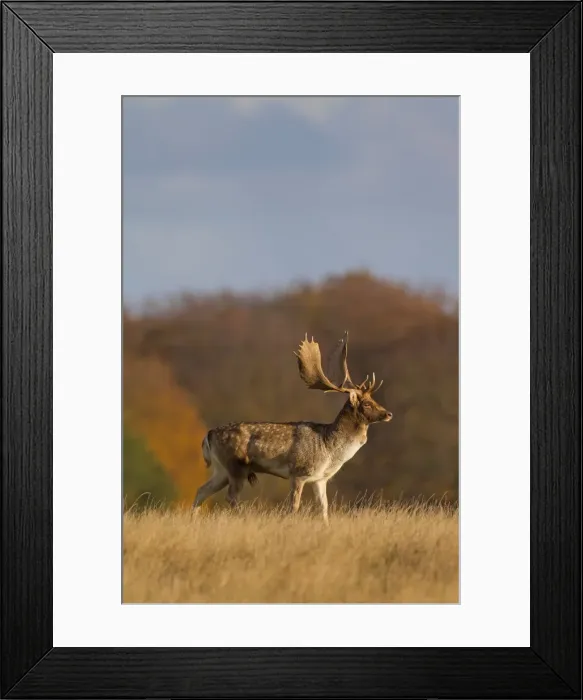 Framed Print : Picture No. 11672612 Framed Print : Picture No. 11672612