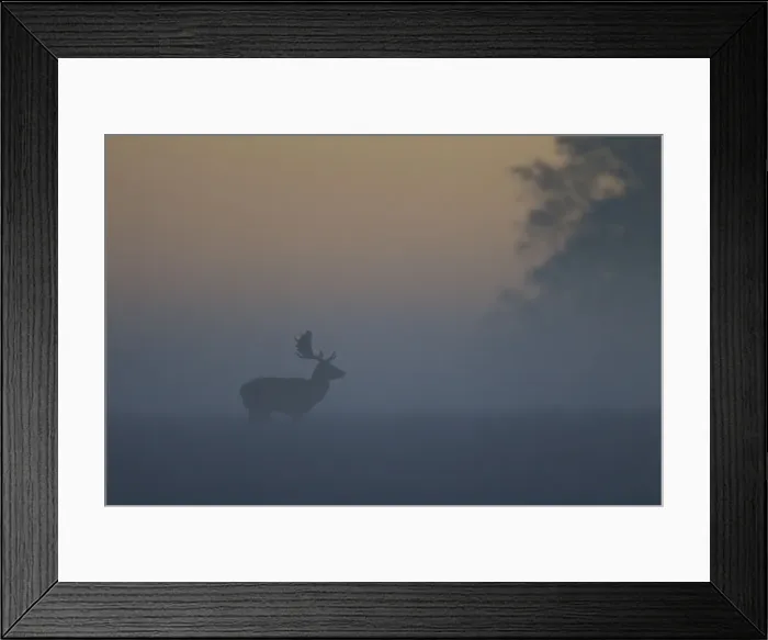 Framed Print : Picture No. 11672616 Framed Print : Picture No. 11672616