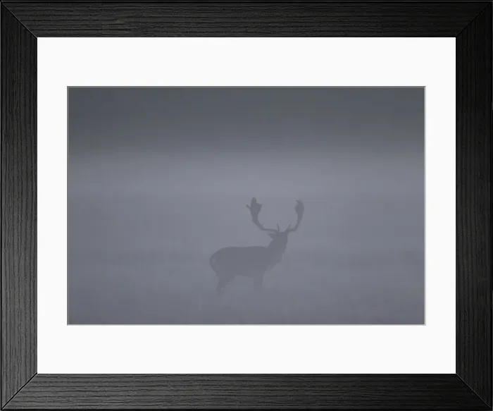 Framed Print : Picture No. 11672617 Framed Print : Picture No. 11672617