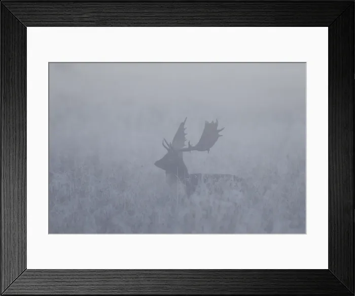 Framed Print : Picture No. 11672620 Framed Print : Picture No. 11672620