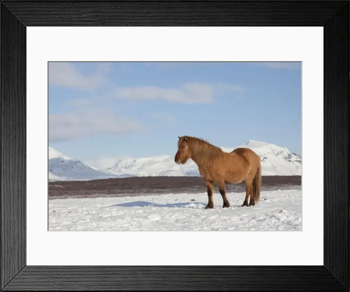 Framed Print : Picture No. 11672677 Framed Print : Picture No. 11672677