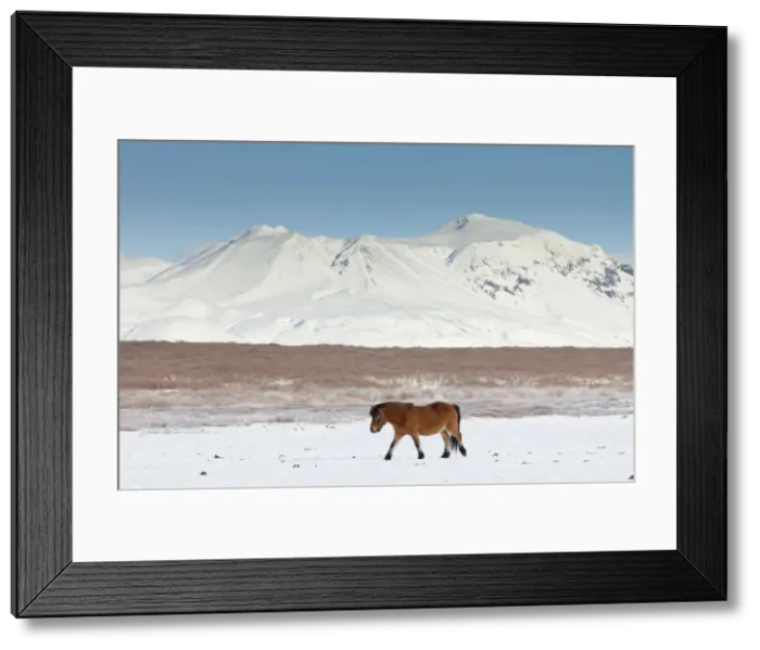 Framed Print : Picture No. 11672678 Framed Print : Picture No. 11672678