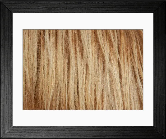 Framed Print : Picture No. 11672679 Framed Print : Picture No. 11672679