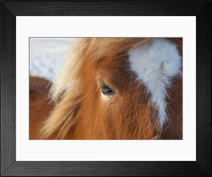 Framed Print : Picture No. 11672680 Framed Print : Picture No. 11672680