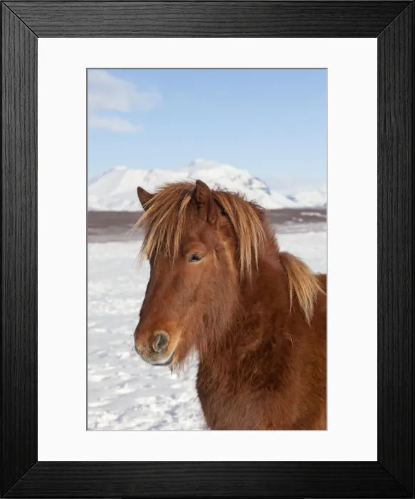 Framed Print : Picture No. 11672681 Framed Print : Picture No. 11672681