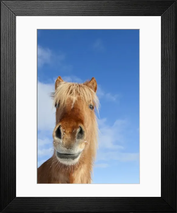 Framed Print : Picture No. 11672682 Framed Print : Picture No. 11672682