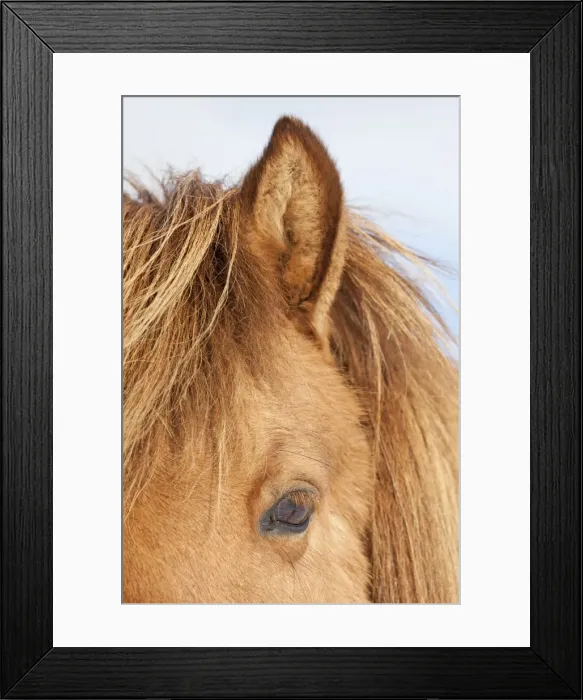 Framed Print : Picture No. 11672683 Framed Print : Picture No. 11672683