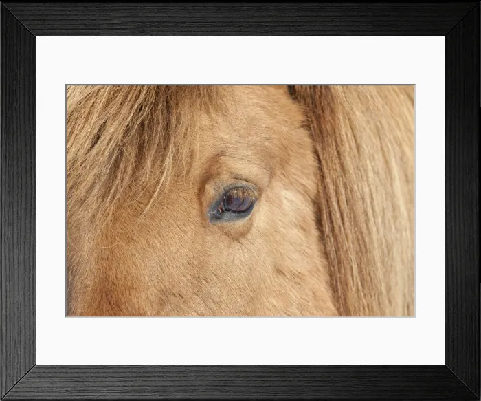 Framed Print : Picture No. 11672684