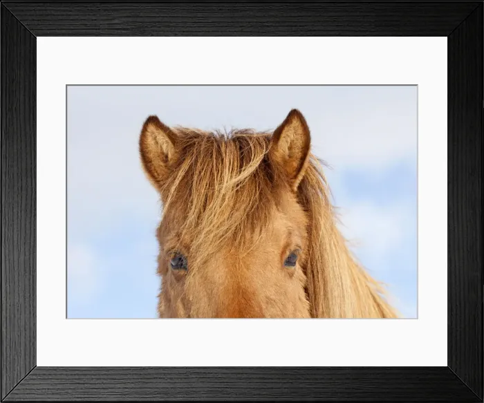 Framed Print : Picture No. 11672685 Framed Print : Picture No. 11672685