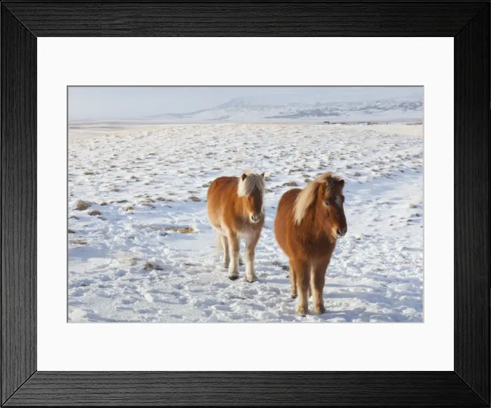 Framed Print : Picture No. 11672686 Framed Print : Picture No. 11672686
