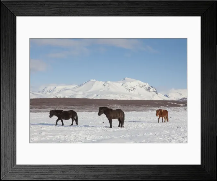 Framed Print : Picture No. 11672687 Framed Print : Picture No. 11672687