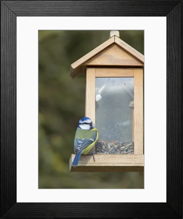 Framed Print : Picture No. 11672714 Framed Print : Picture No. 11672714