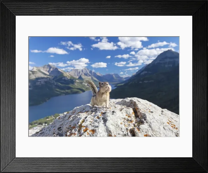 Framed Print : Picture No. 11672756 Framed Print : Picture No. 11672756