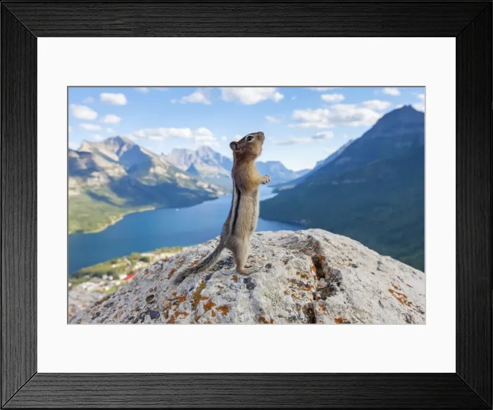 Framed Print : Picture No. 11672757 Framed Print : Picture No. 11672757