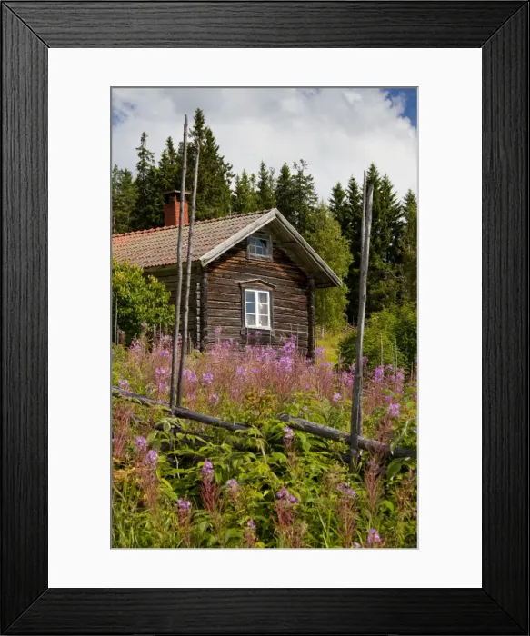 Framed Print : Picture No. 11672804 Framed Print : Picture No. 11672804