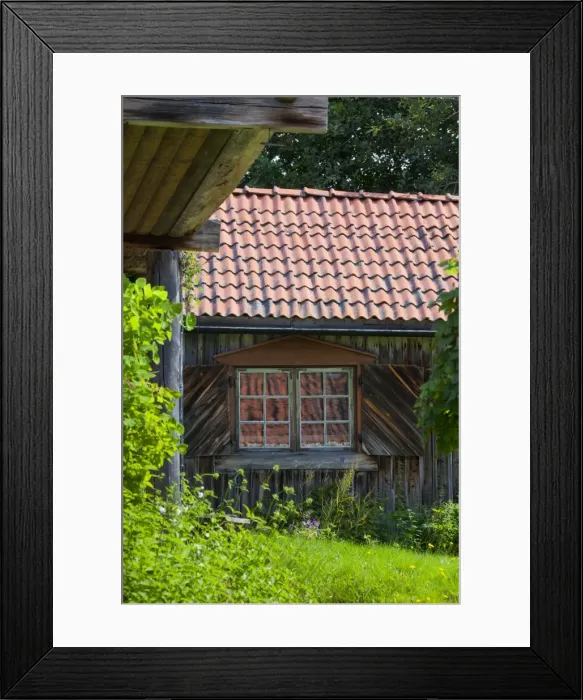 Framed Print : Picture No. 11672805 Framed Print : Picture No. 11672805