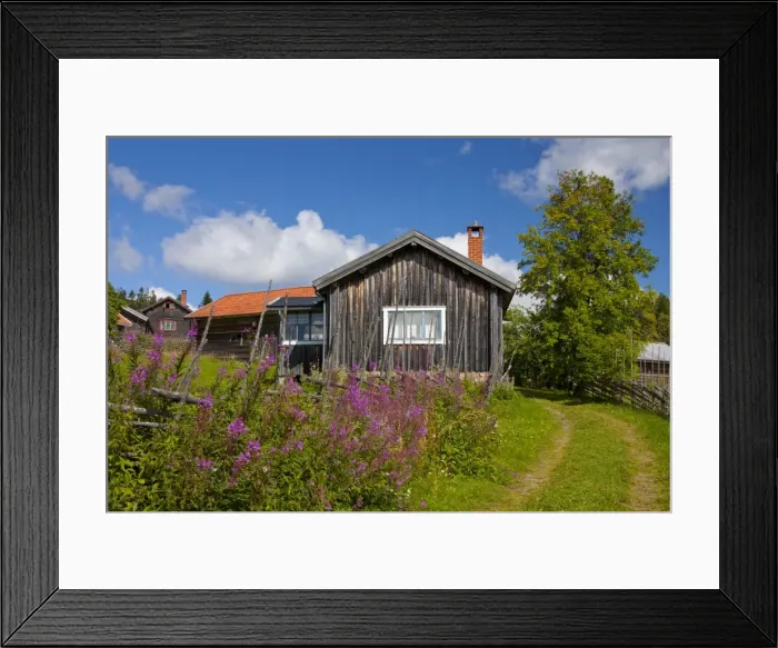 Framed Print : Picture No. 11672806 Framed Print : Picture No. 11672806