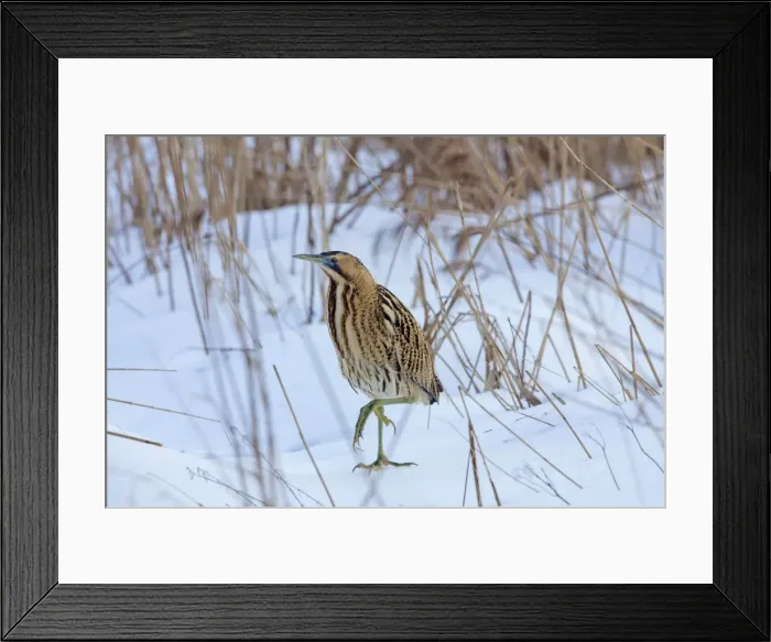 Framed Print : Picture No. 11672807 Framed Print : Picture No. 11672807