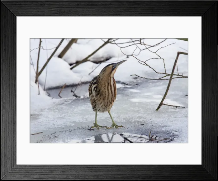 Framed Print : Picture No. 11672808 Framed Print : Picture No. 11672808
