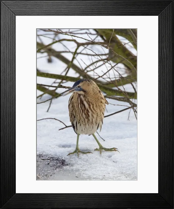 Framed Print : Picture No. 11672810 Framed Print : Picture No. 11672810