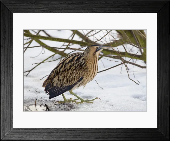 Framed Print : Picture No. 11672812 Framed Print : Picture No. 11672812
