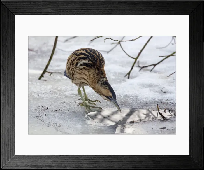 Framed Print : Picture No. 11672813 Framed Print : Picture No. 11672813