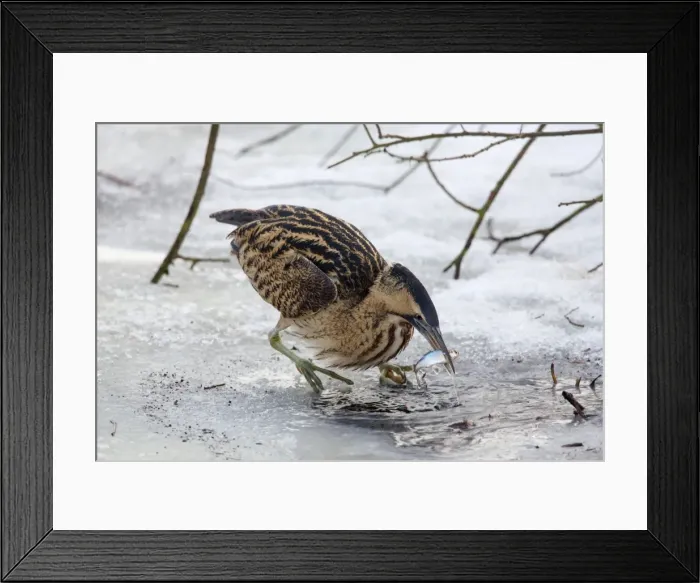 Framed Print : Picture No. 11672814 Framed Print : Picture No. 11672814