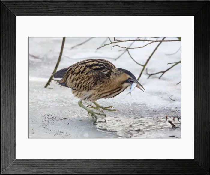Framed Print : Picture No. 11672815 Framed Print : Picture No. 11672815