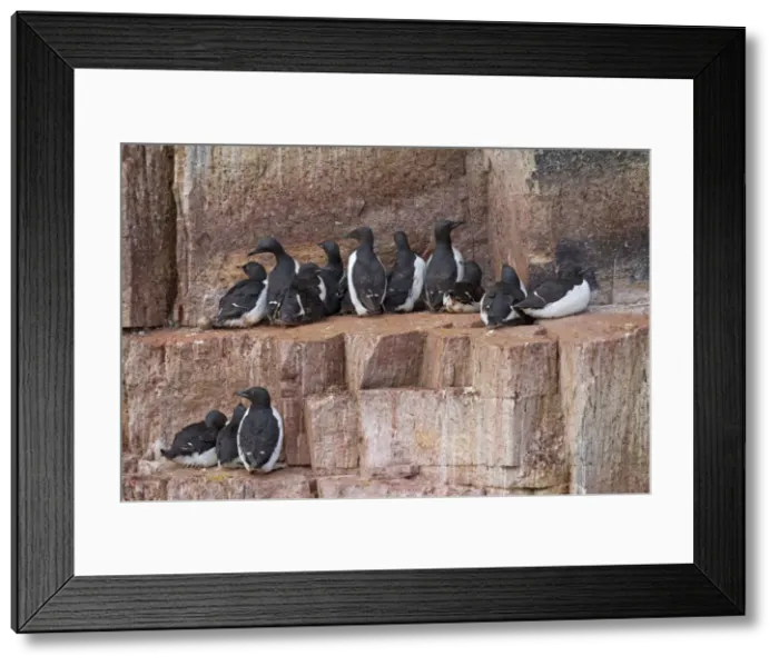 Framed Print : Picture No. 11672838 Framed Print : Picture No. 11672838