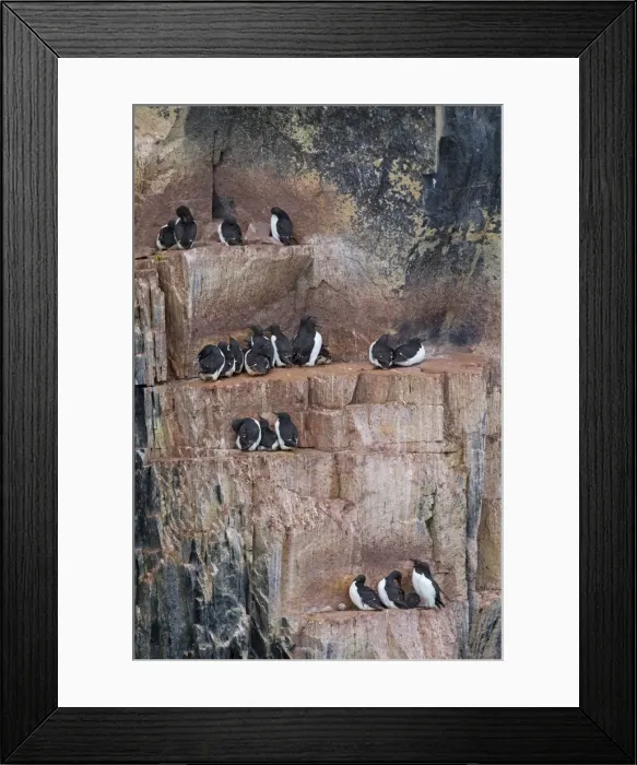 Framed Print : Picture No. 11672839 Framed Print : Picture No. 11672839