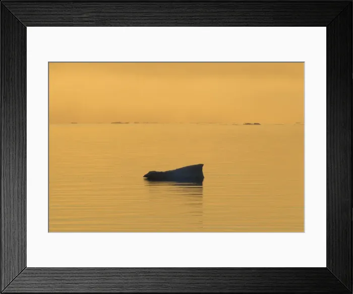 Framed Print : Picture No. 11672847 Framed Print : Picture No. 11672847