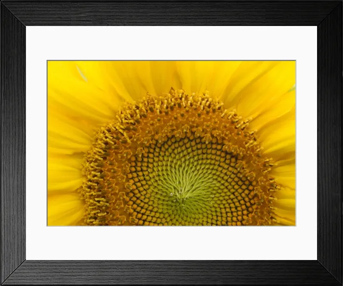 Framed Print : Picture No. 11672876 Framed Print : Picture No. 11672876