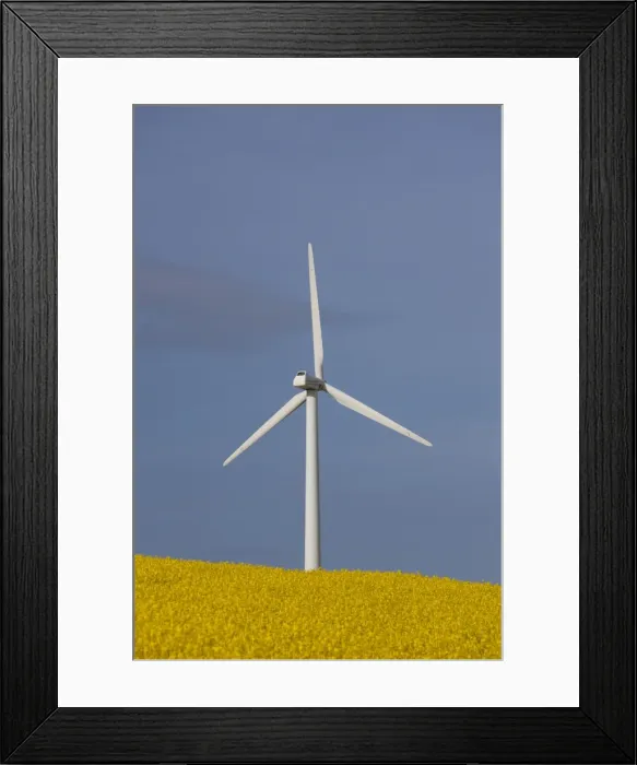 Framed Print : Picture No. 11672894 Framed Print : Picture No. 11672894