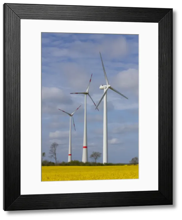 Framed Print : Picture No. 11672895 Framed Print : Picture No. 11672895