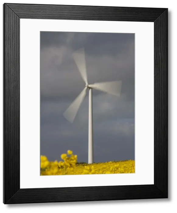 Framed Print : Picture No. 11672896 Framed Print : Picture No. 11672896