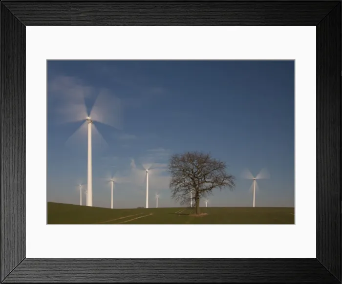 Framed Print : Picture No. 11672904 Framed Print : Picture No. 11672904