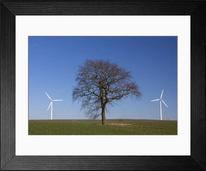 Framed Print : Picture No. 11672907 Framed Print : Picture No. 11672907