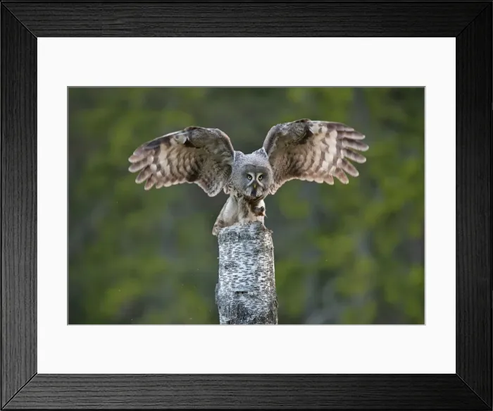 Framed Print : Picture No. 11672928 Framed Print : Picture No. 11672928