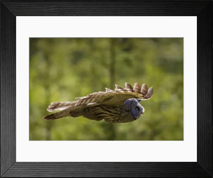 Framed Print : Picture No. 11672933 Framed Print : Picture No. 11672933