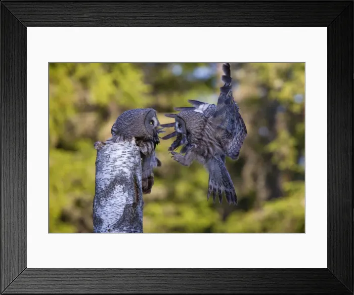 Framed Print : Picture No. 11672947 Framed Print : Picture No. 11672947