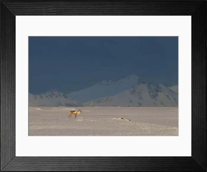 Framed Print : Picture No. 11672981 Framed Print : Picture No. 11672981