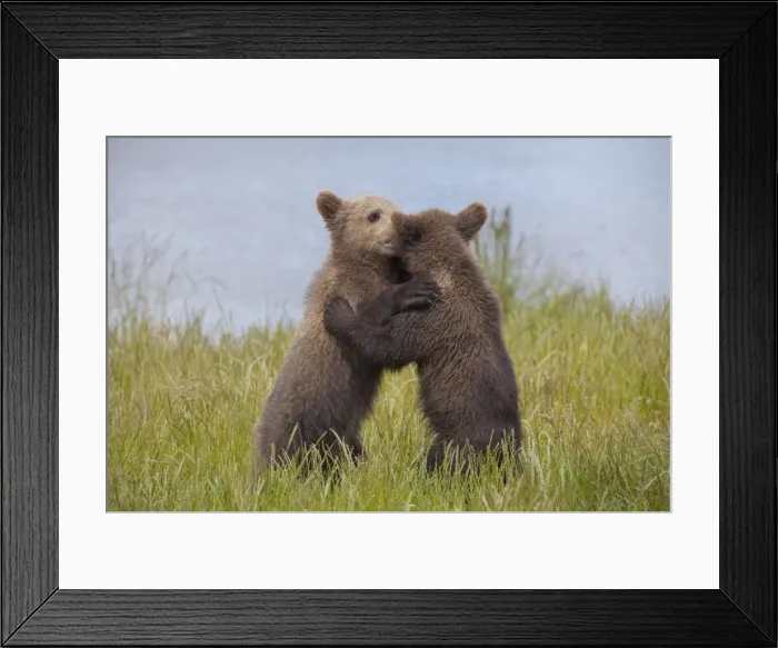 Framed Print : Picture No. 11672993 Framed Print : Picture No. 11672993