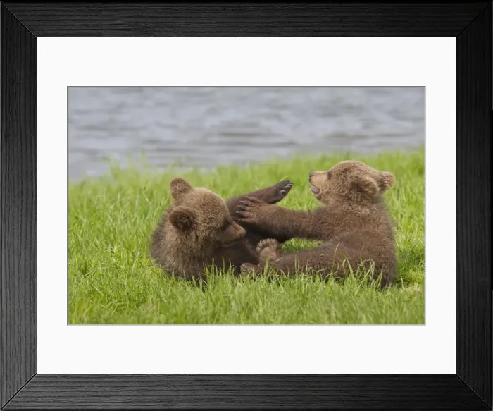 Framed Print : Picture No. 11673001 Framed Print : Picture No. 11673001