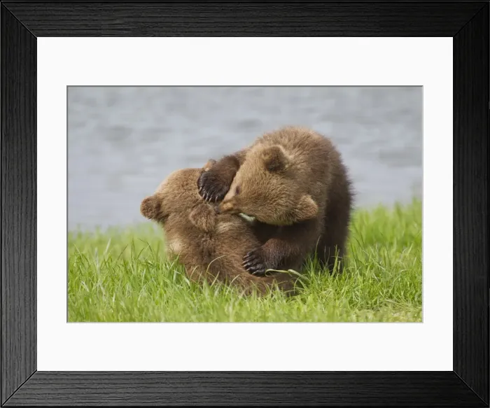 Framed Print : Picture No. 11673002 Framed Print : Picture No. 11673002