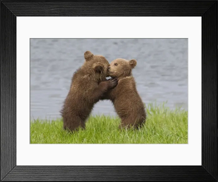 Framed Print : Picture No. 11673003 Framed Print : Picture No. 11673003