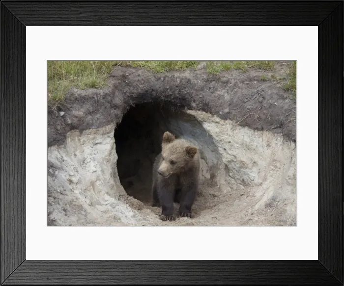 Framed Print : Picture No. 11673025 Framed Print : Picture No. 11673025