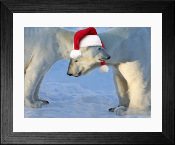 Framed Print : Picture No. 11673035 Framed Print : Picture No. 11673035