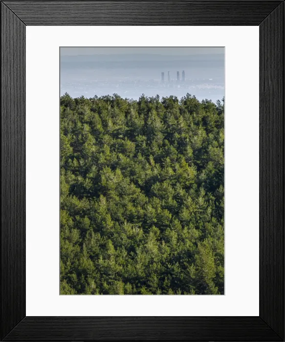 Framed Print : Picture No. 11674787 Framed Print : Picture No. 11674787