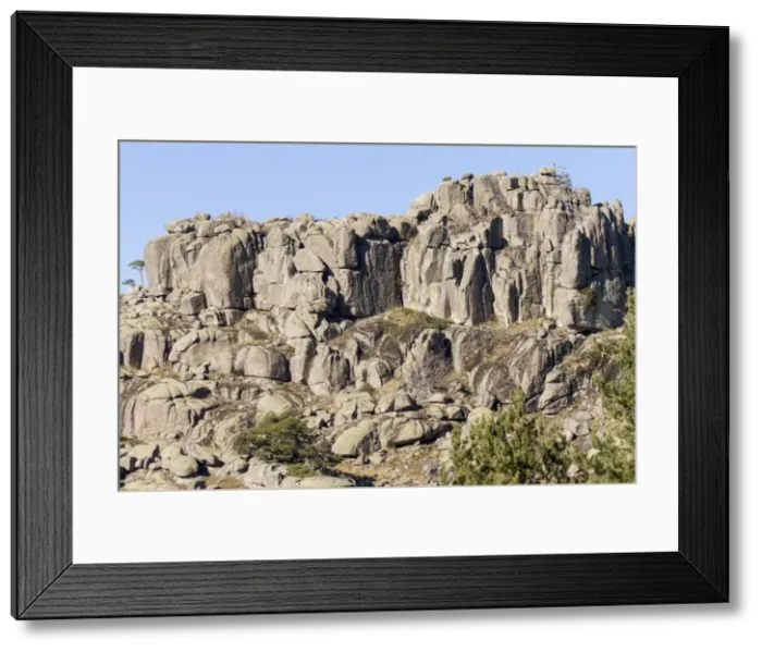 Framed Print : Picture No. 11674788 Framed Print : Picture No. 11674788